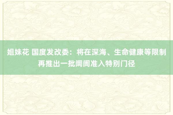 姐妹花 国度发改委：将在深海、生命健康等限制再推出一批阛阓准入特别门径