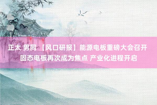 正太 男同 【风口研报】能源电板重磅大会召开 固态电板再次成