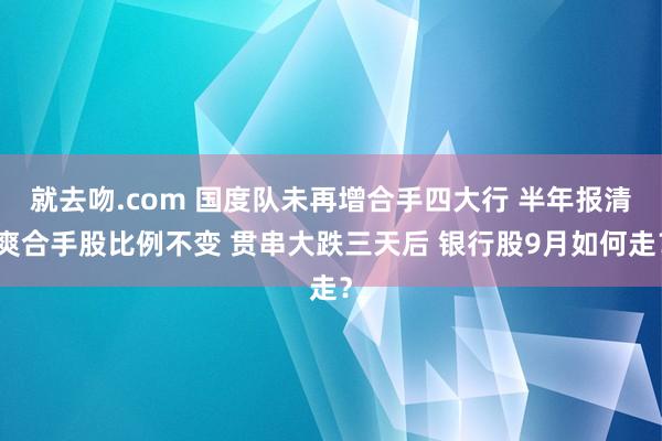 就去吻.com 国度队未再增合手四大行 半年报清爽合手股比例