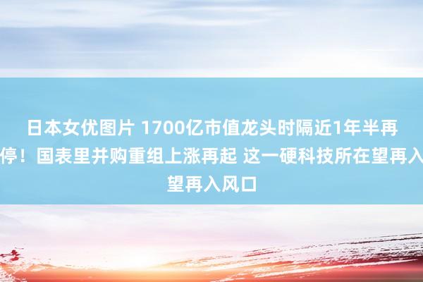 日本女优图片 1700亿市值龙头时隔近1年半再度涨停！国表里