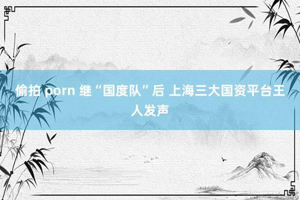 偷拍 porn 继“国度队”后 上海三大国资平台王人发声