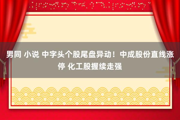 男同 小说 中字头个股尾盘异动！中成股份直线涨停 化工股握续